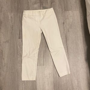 LOFT Pant